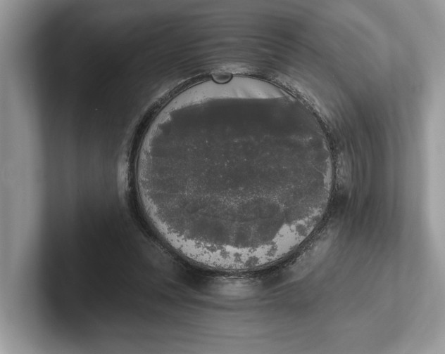 X0000101460351200807211338