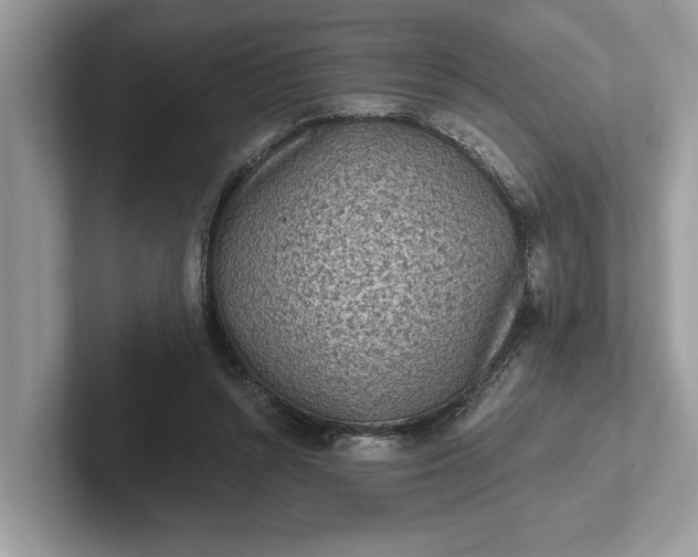 X0000101460352200807211338