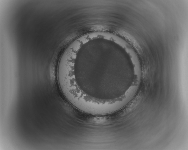 X0000101460353200807211338