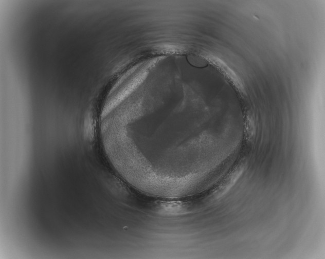 X0000101460355200807211338