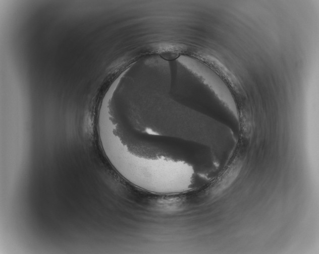 X0000101460357200807211338