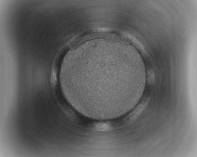 X0000101460358200807211338