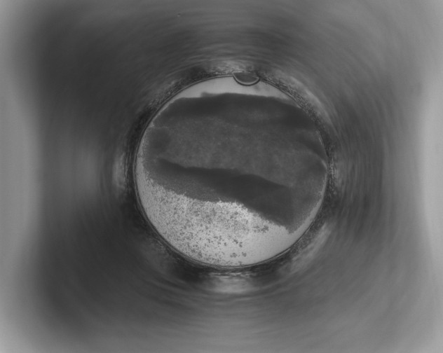 X0000101460359200807211338