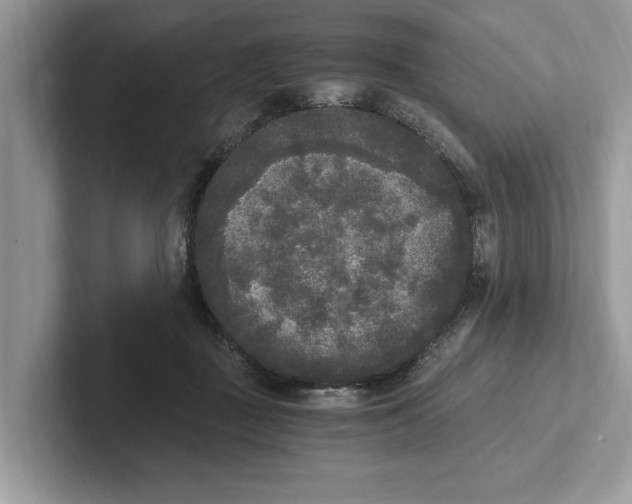 X0000101460363200807211338