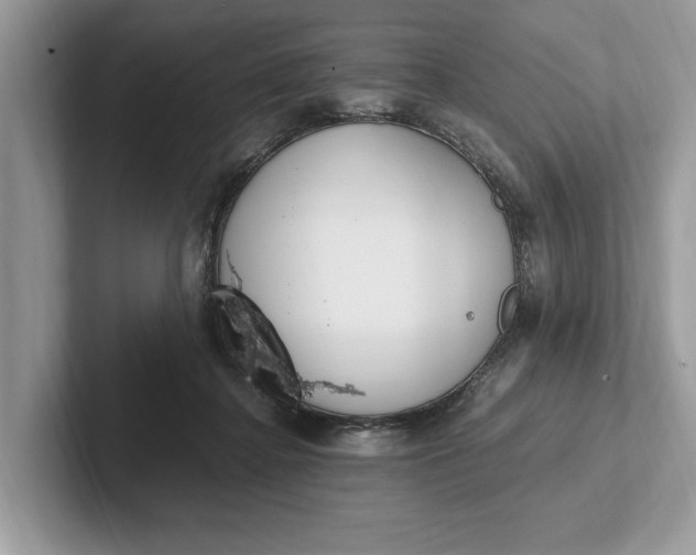 X0000101460364200807211338