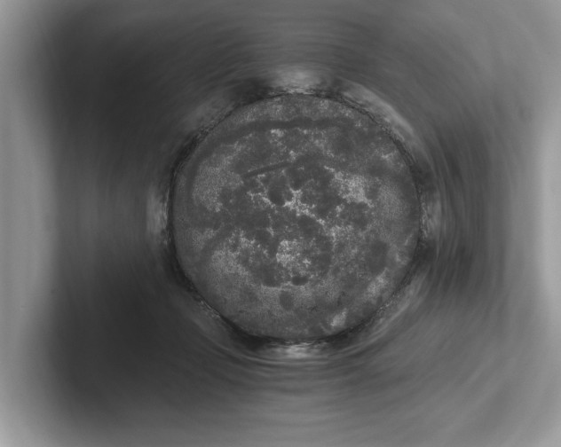 X0000101460365200807211338