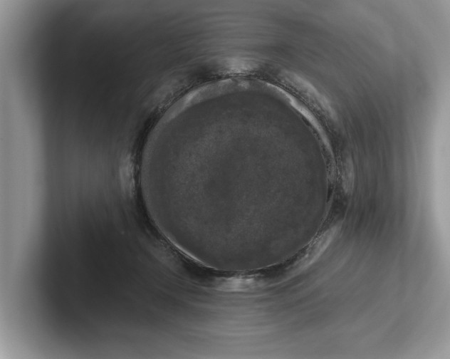 X0000101460366200807211338