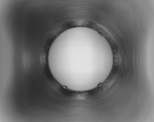 X0000101460368200807211338