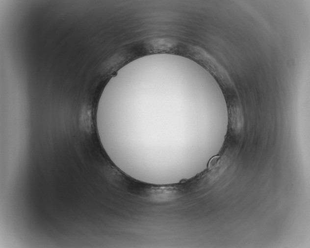 X0000101460378200807211338