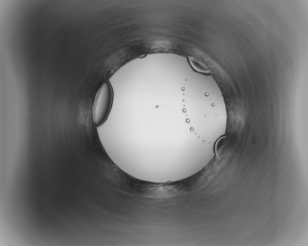 X0000101460379200807211338