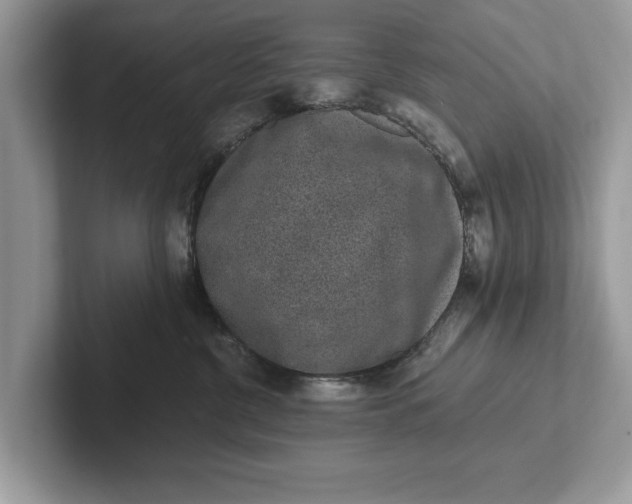 X0000101460380200807211338