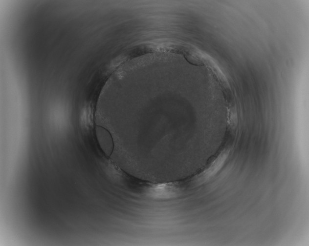 X0000101460382200807211338