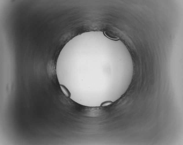 X0000101460384200807211338