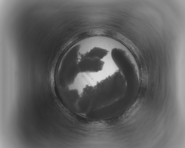 X0000101460386200807211338