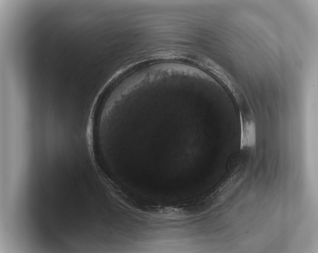 X0000101460387200807211338