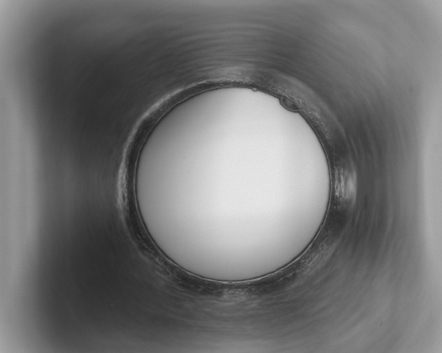 X0000101460388200807211338