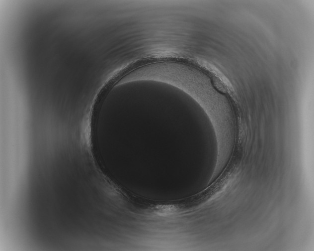 X0000101460391200807211338