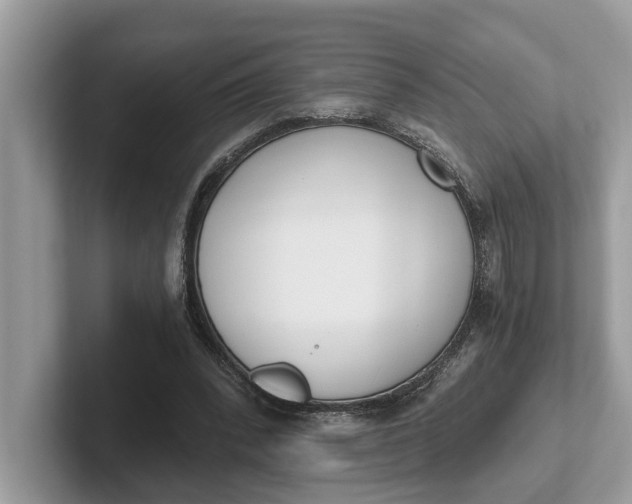 X0000101460392200807211338