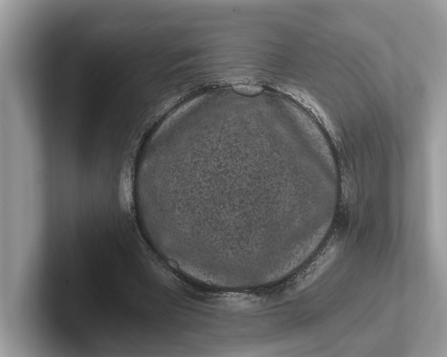 X0000101460393200807211337