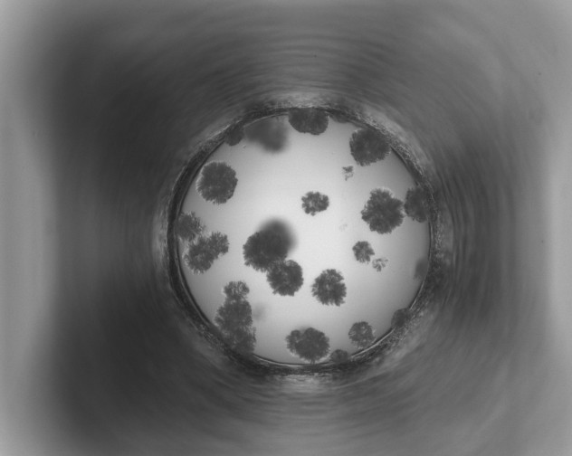 X0000101460394200807211337