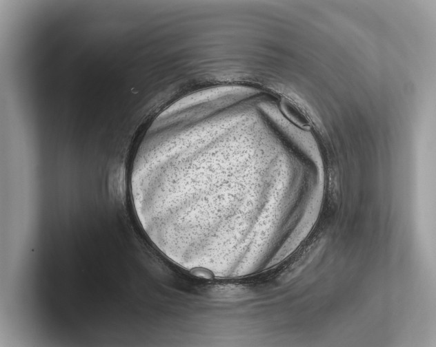 X0000101460397200807211337