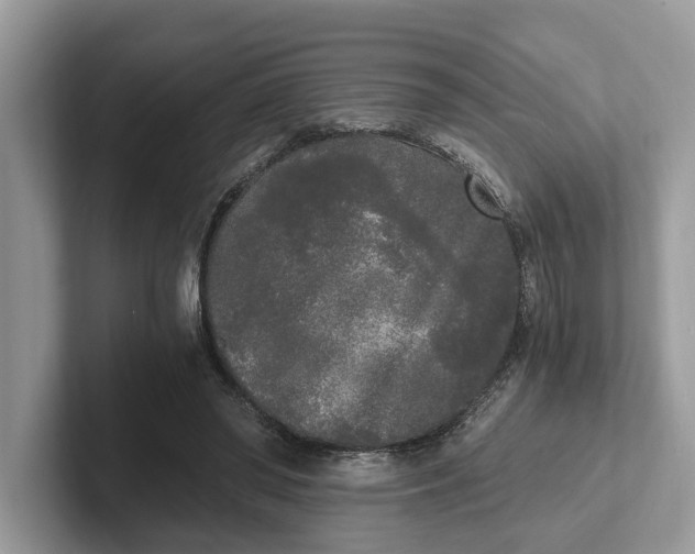 X0000101460398200807211337