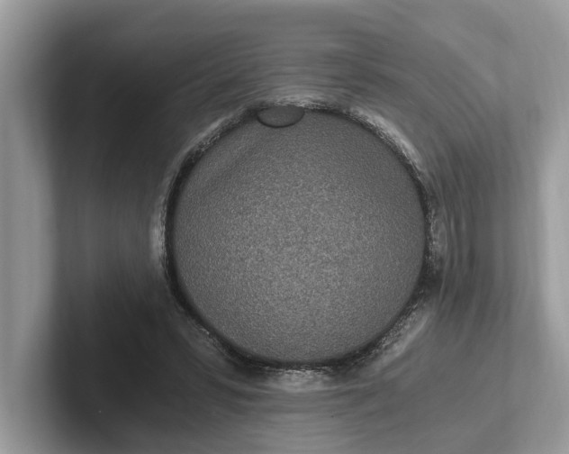 X0000101460399200807211337