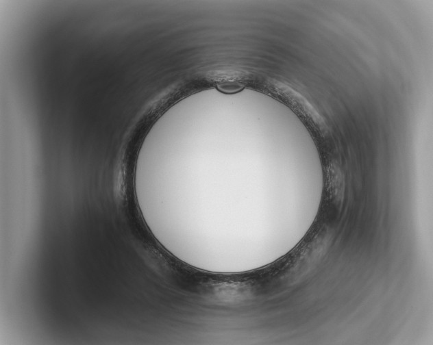 X0000101460400200807211337