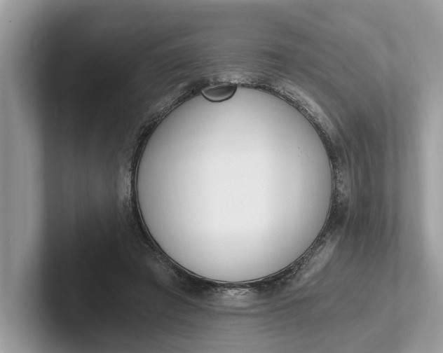 X0000101460401200807211337