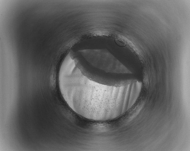 X0000101460402200807211337