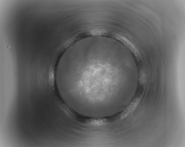 X0000101460405200807211337