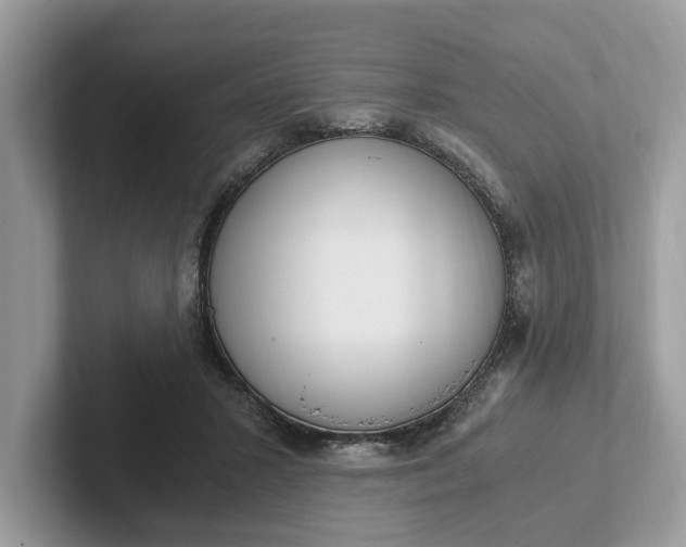 X0000101460407200807211337