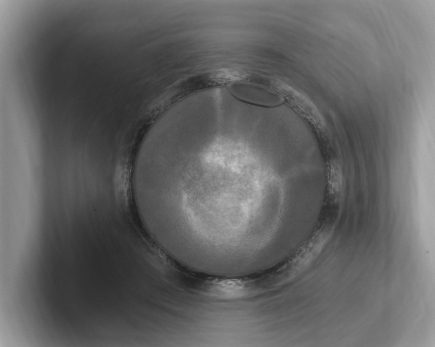 X0000101460409200807211337