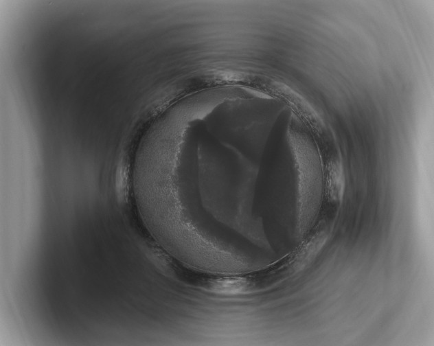 X0000101460410200807211337