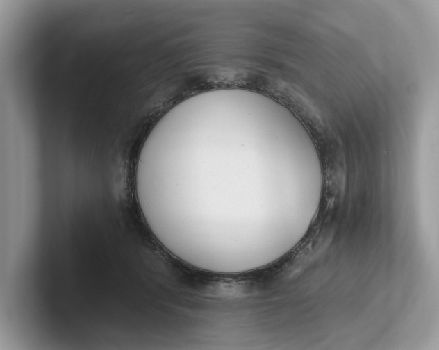 X0000101460416200807211337