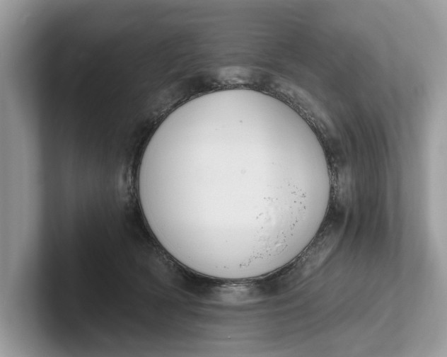 X0000101460418200807211337