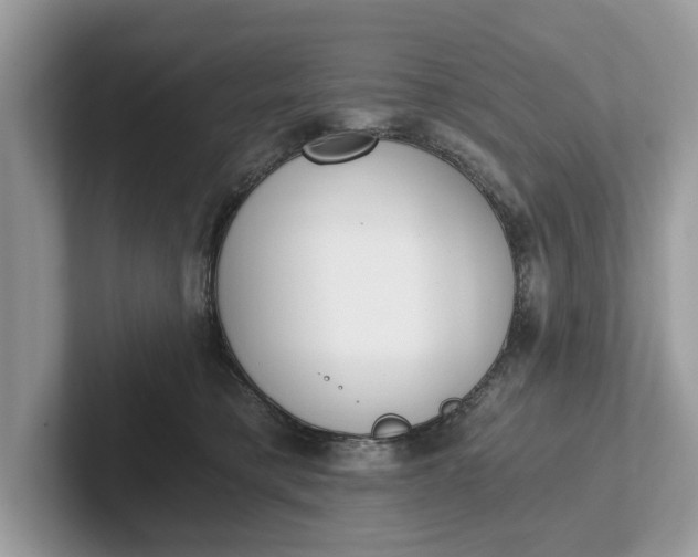 X0000101460421200807211337