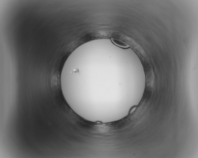 X0000101460425200807211337