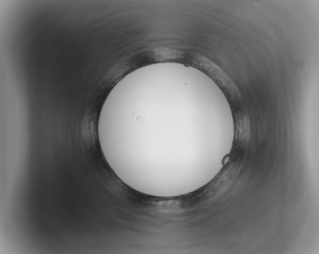 X0000101460426200807211337