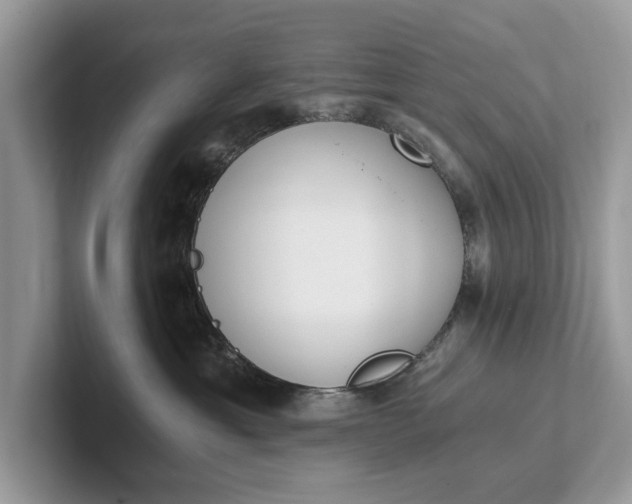 X0000101460429200807211337