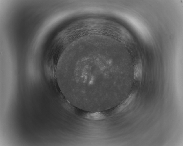 X0000101460431200807211337