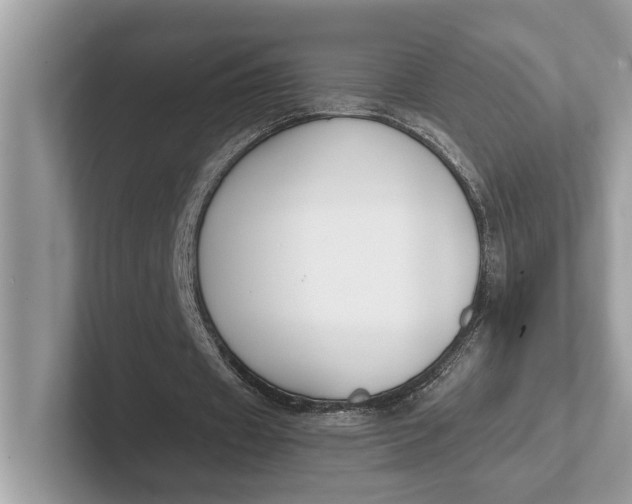 X0000101460433200807211336