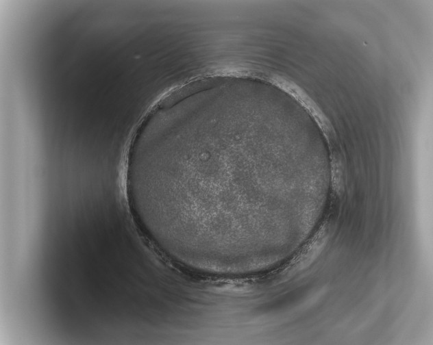 X0000101460434200807211336