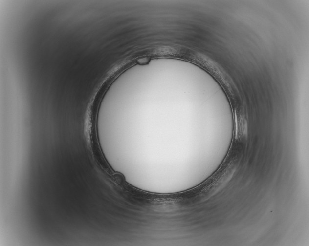 X0000101460435200807211336