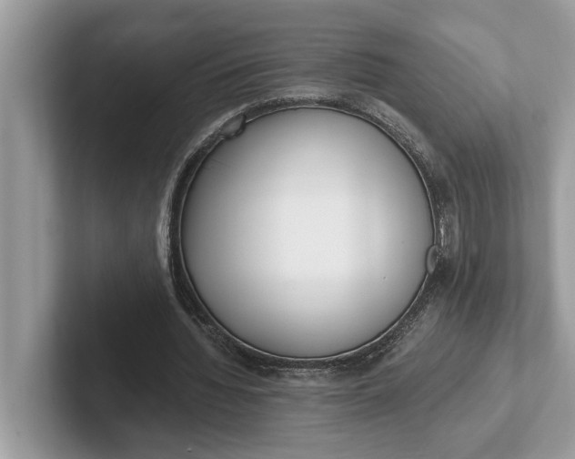 X0000101460436200807211336