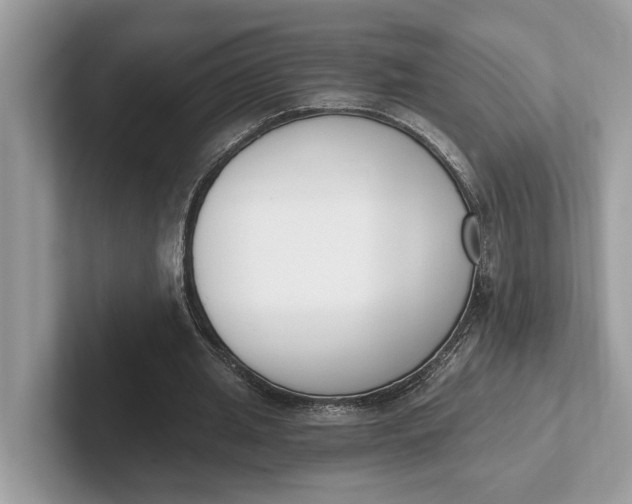 X0000101460437200807211336