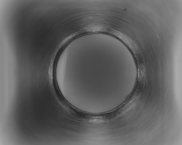 X0000101460438200807211336