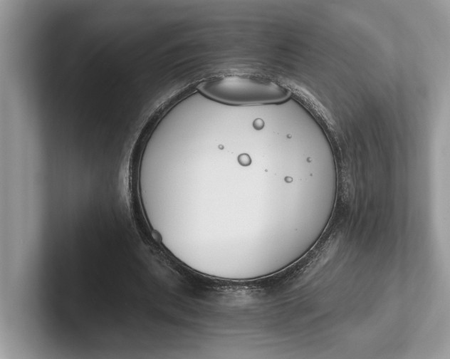 X0000101460439200807211336