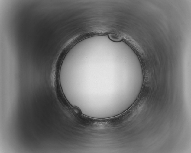 X0000101460440200807211336