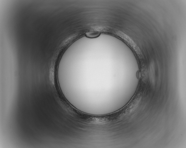 X0000101460442200807211336